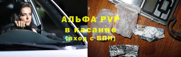 твердый Абаза