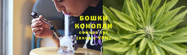 твердый Абаза