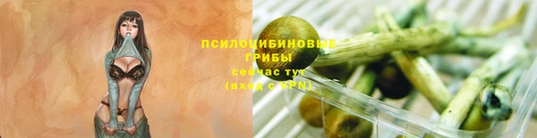 твердый Абаза