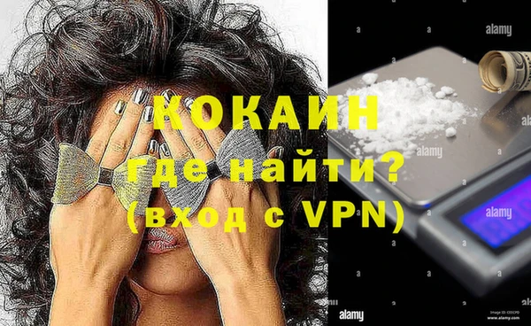 твердый Абаза